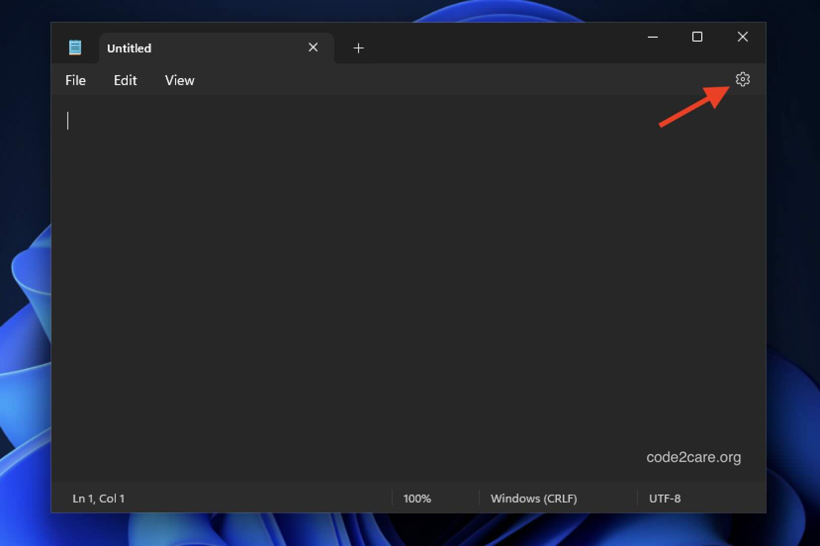 Settings Gear icon Windows 11 Notepad